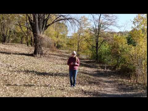 DJI Mavic 2 Zoom - Dolly Zoom - Drone Sample Footage 2018