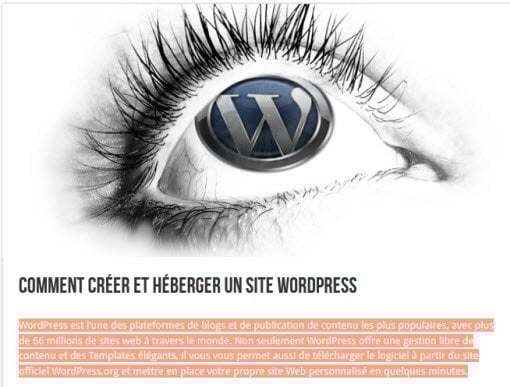 changer-couleur-selection-text-wordpress