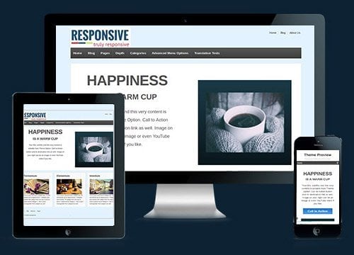 responsive theme wordpress