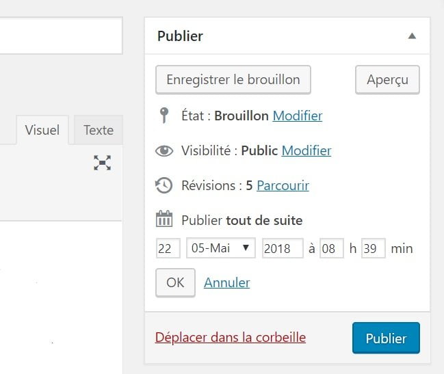 Publier maintenant