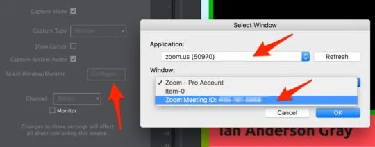Choisissez la fenêtre Zoom pour capturer votre invité.