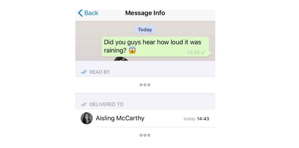 info message whatsapp 02