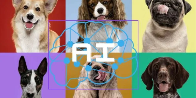 Identifiez la race de votre chien avec l'intelligence artificielle